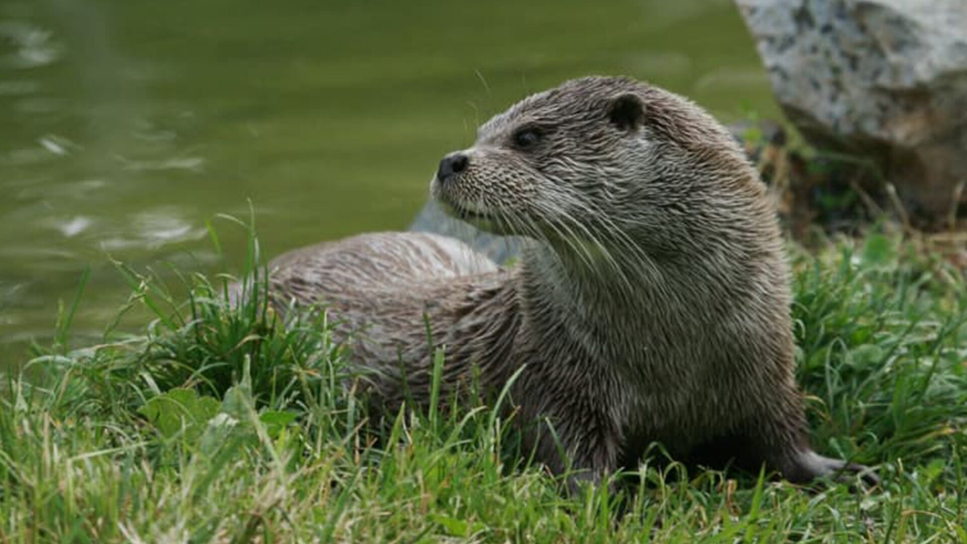 NR biodiversité